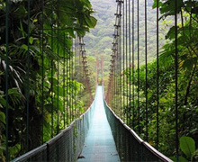 Escape to the Jungle in Costa Rica